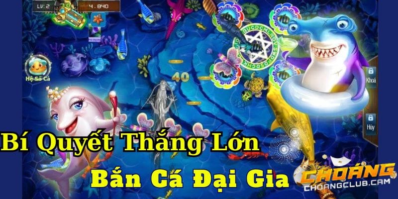 kham-pha-bi-quyet-thang-lon-tai-ban-ca-dai-gia