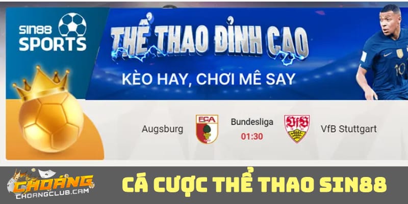 sanh-ca-cuoc-the-thao-tai-sin88