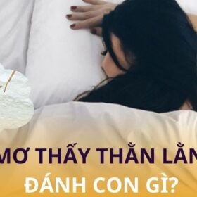 Giải Mã Giấc Mơ Thấy Thằn Lằn – Điềm Báo Con Số May Mắn