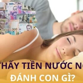 [Giải Mã] Giấc Mơ Thấy Tiền Nước Ngoài Đánh Con Gì Hiệu Quả